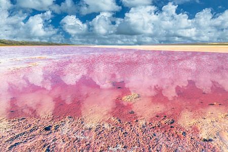 Landscape with a pink lake