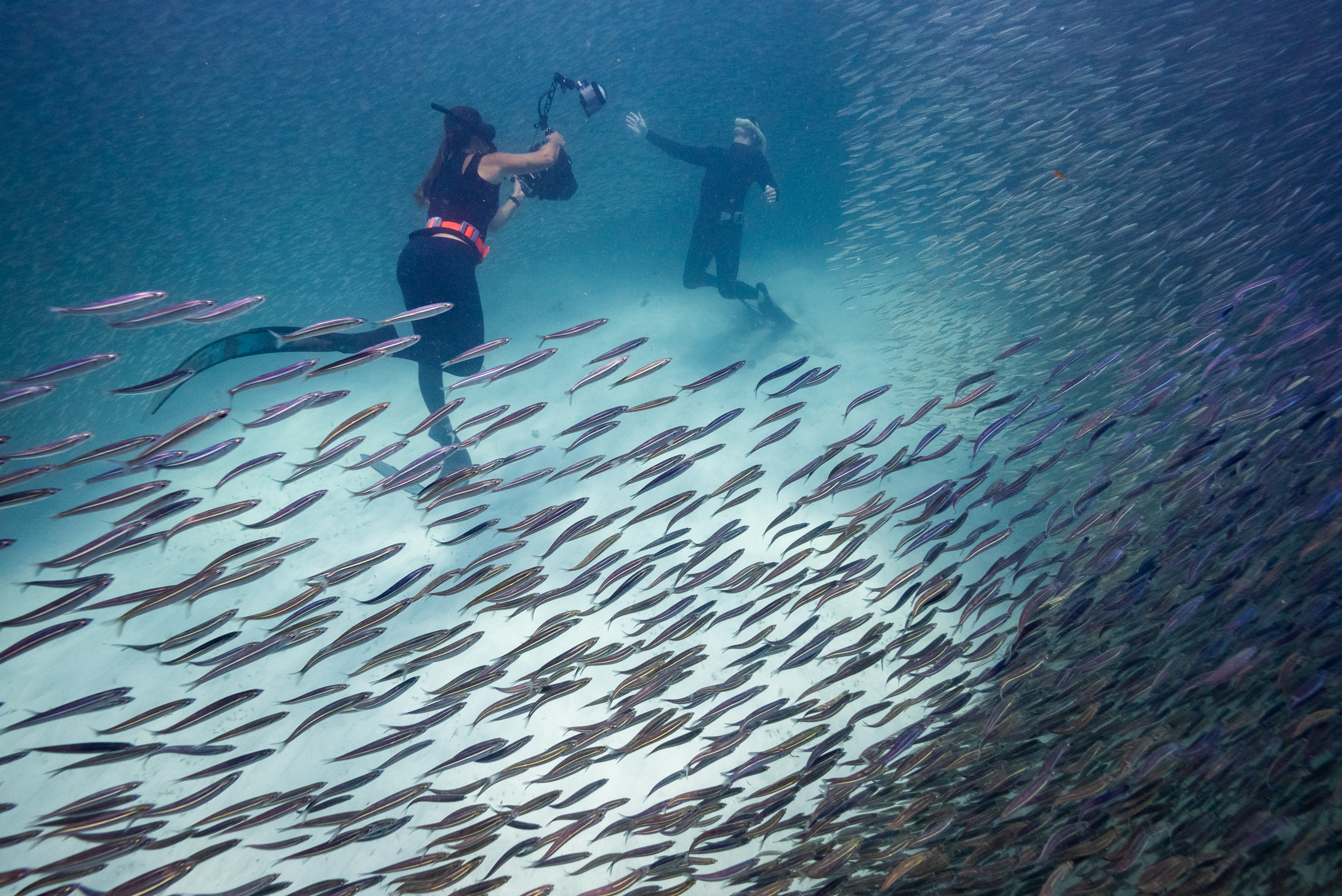 Ningaloo Nyinggulu #4