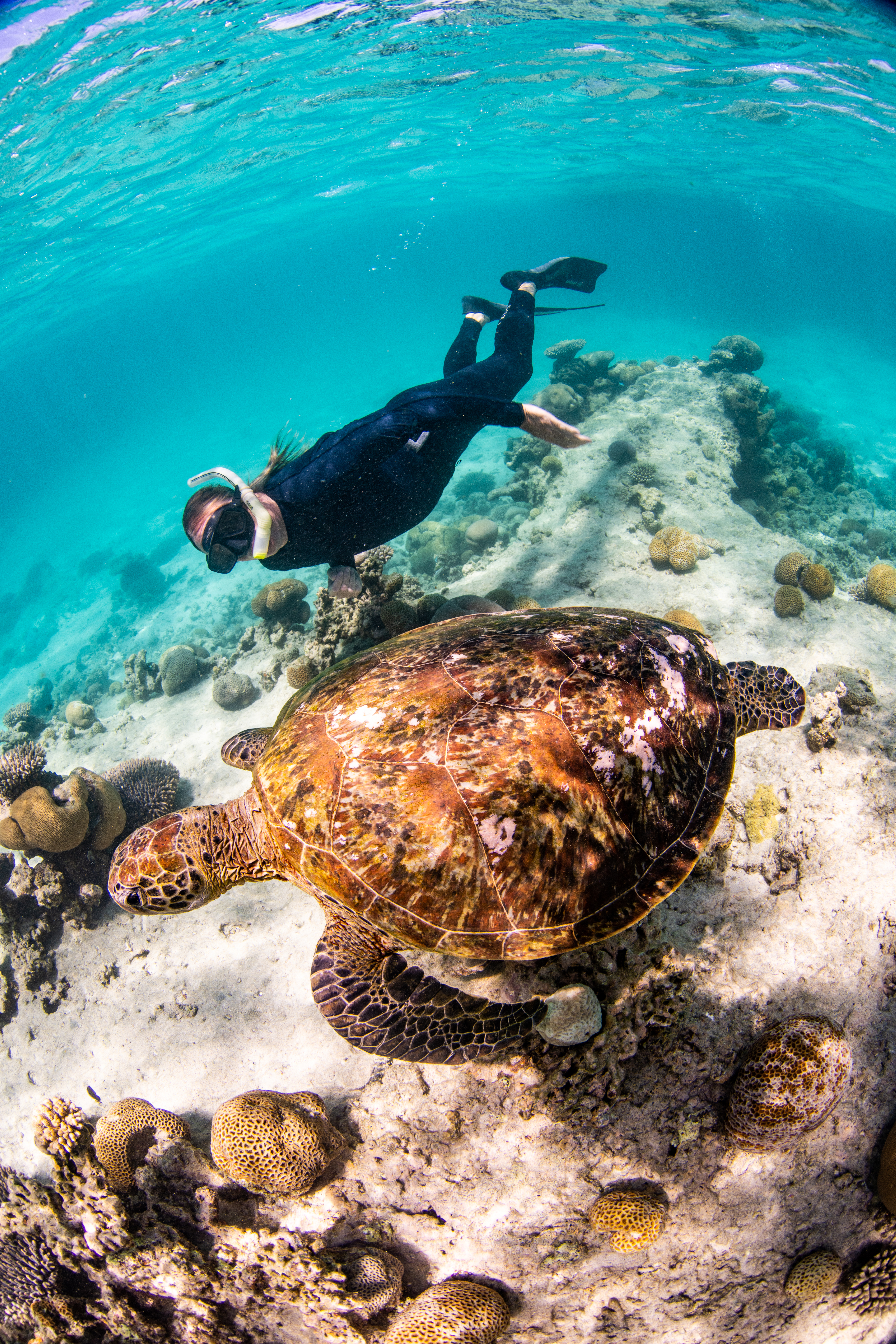 Ningaloo Nyinggulu #8