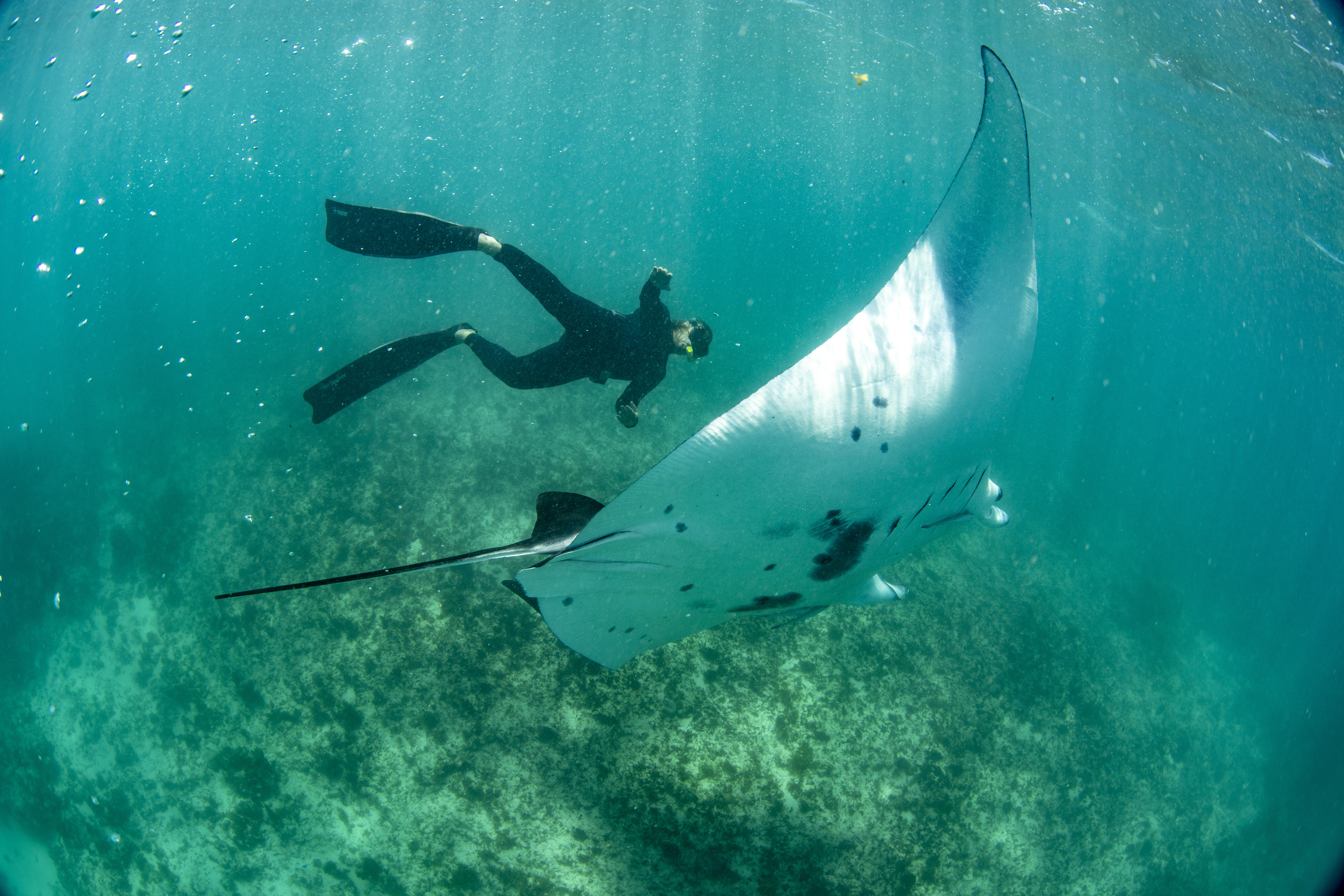 Ningaloo Nyinggulu #9